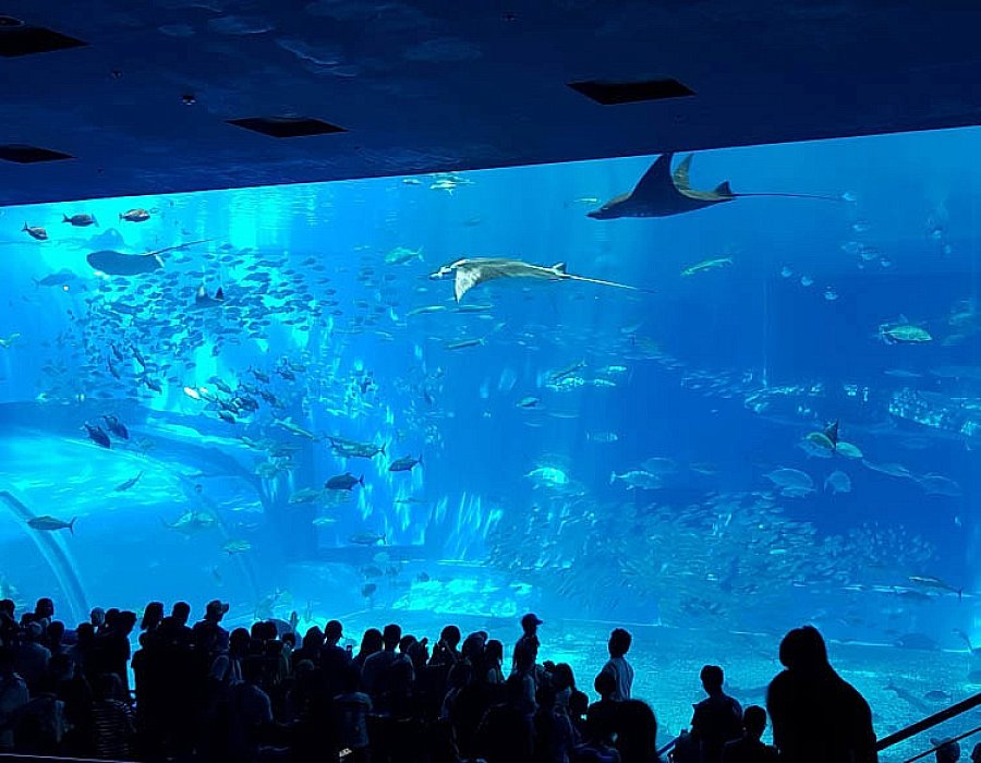 Okinawa Churaumi Aquarium